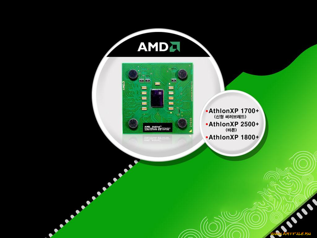 , amd